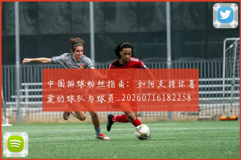 中国排球粉丝指南：如何支持你喜爱的球队与球员_20260716182258