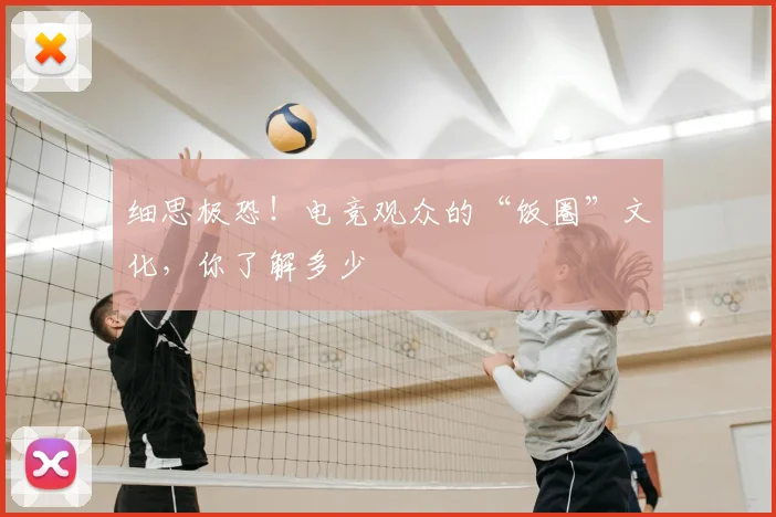 细思极恐！电竞观众的“饭圈”文化，你了解多少