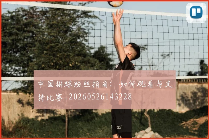 中国排球粉丝指南：如何观看与支持比赛_20260526143228