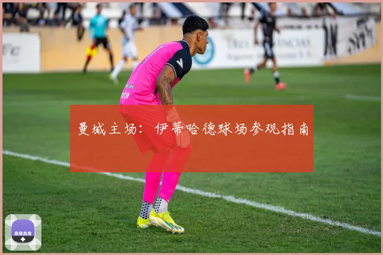 曼城主场:伊蒂哈德球场参观指南