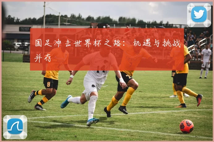 国足冲击世界杯之路：机遇与挑战并存