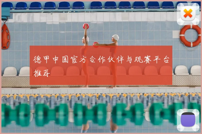 德甲中国官方合作伙伴与观赛平台推荐